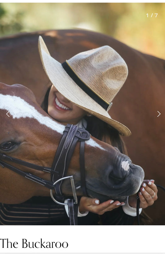 The Buckaroo